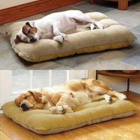 Super Soft Breed Bed