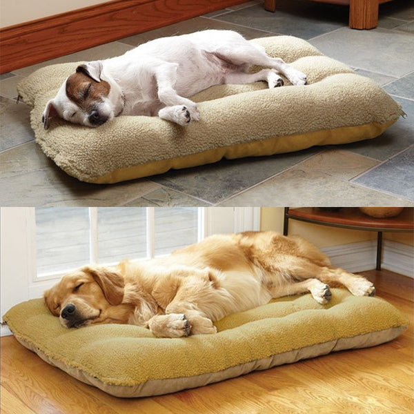 Super Soft Breed Bed